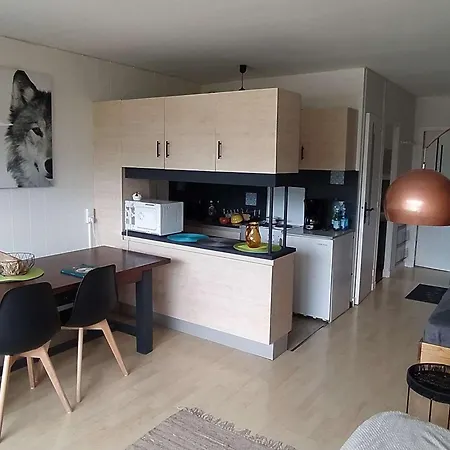 Apartment Bel T2 Avec Vue Et Balcon A - Fr-1-804-27 *